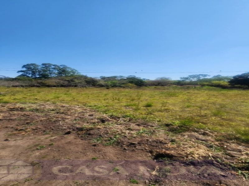 Lote no Icaraí, Divinópolis