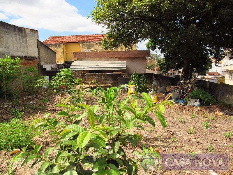 Lote no L. P. Pereira, Divinópolis
