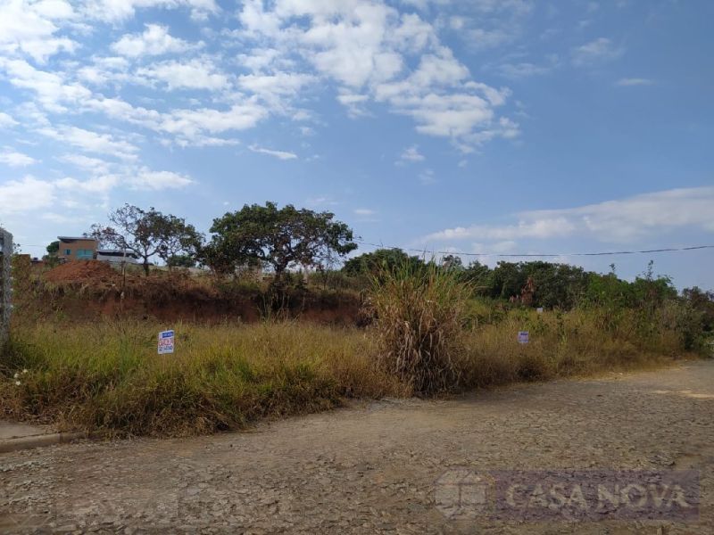 Lote no Sagrada Família, Divinópolis