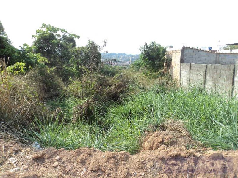 Lote no Jusa Fonseca, Divinópolis