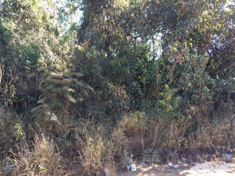 Lote no Copacabana, Divinópolis