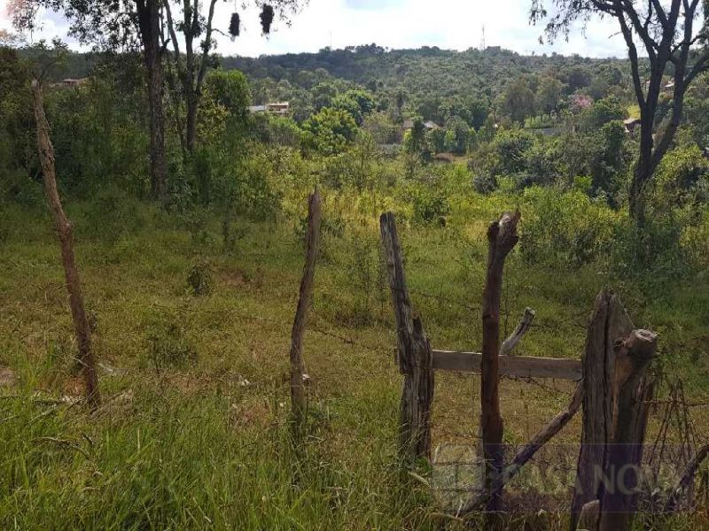 Lote no Santo André, Divinópolis