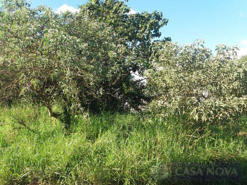 Lote no Jardinópolis, Divinópolis
