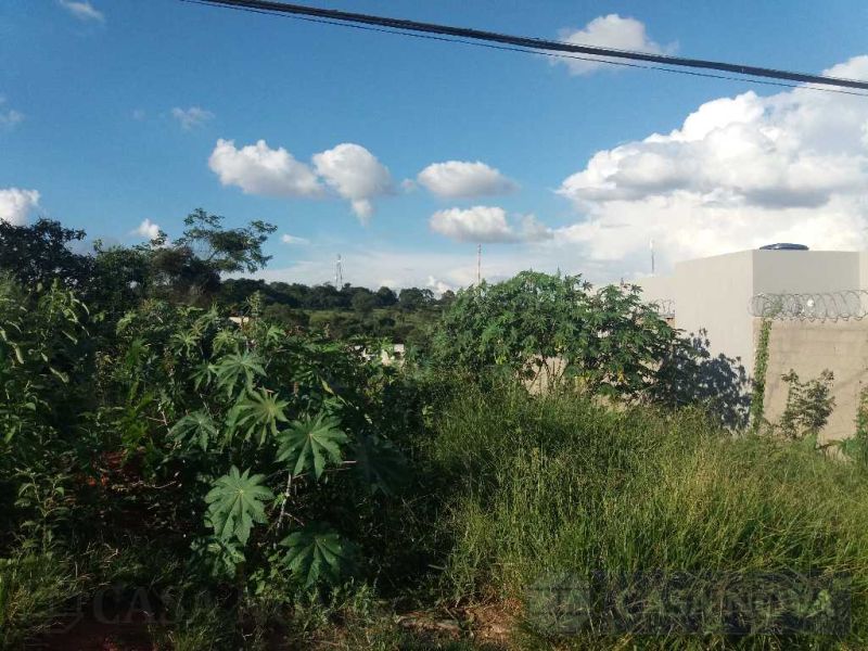 Lote no Floresta, Divinópolis