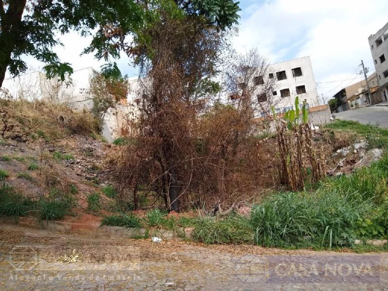 Lote no Manoel Valinhas, Divinópolis