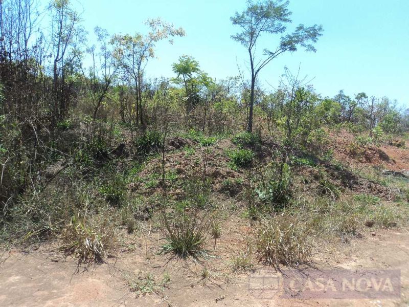 Lote no Terra Azul, Divinópolis