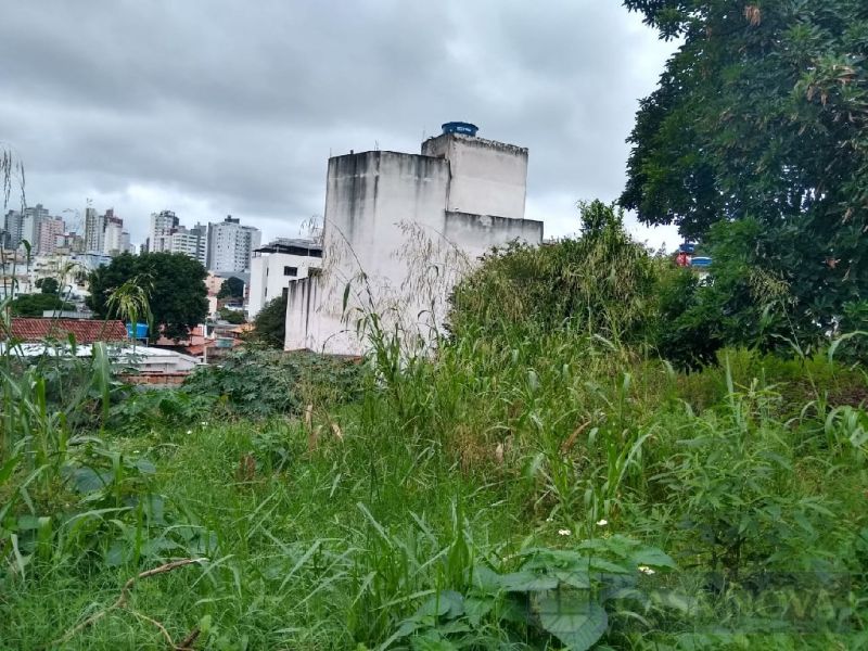 Lote no Centro, Divinópolis