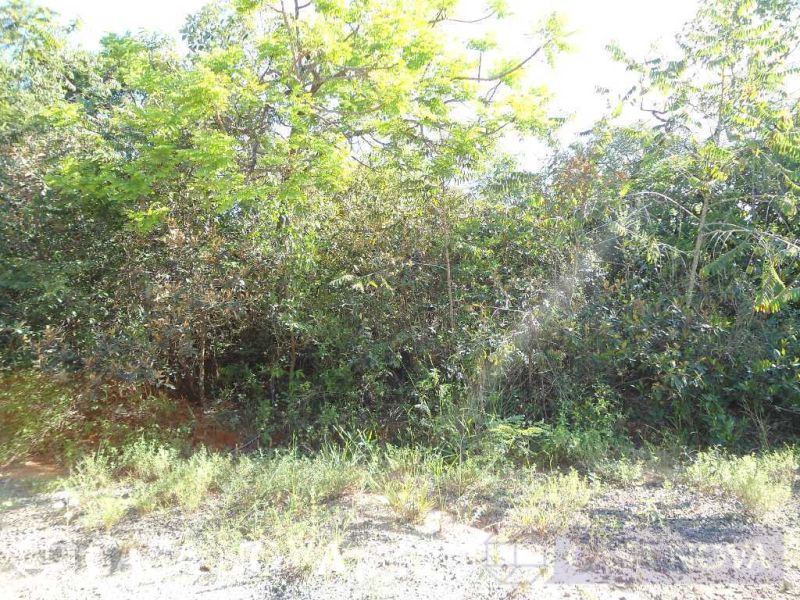 Lote no Jk, Divinópolis