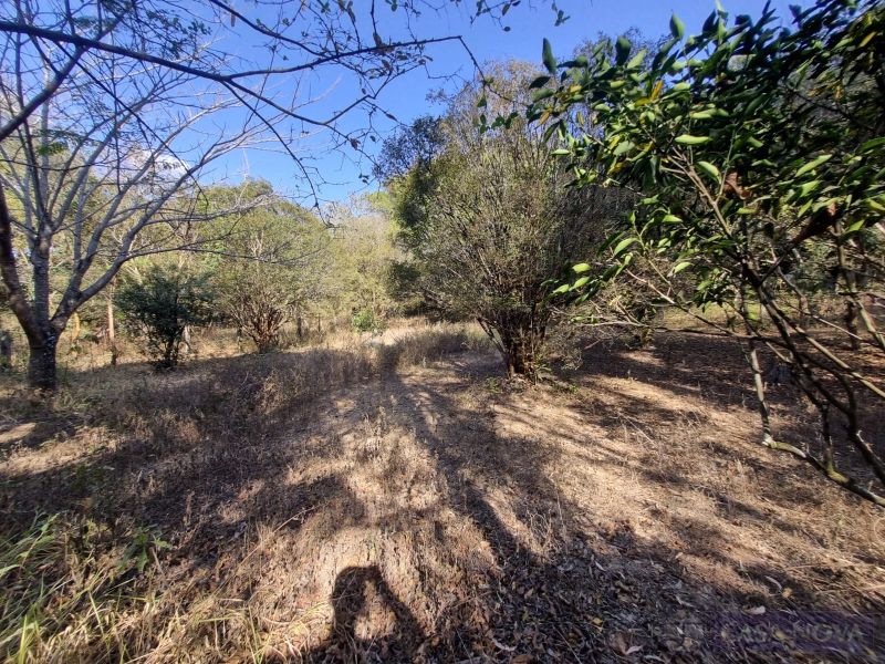 Lote no Realengo, Divinópolis