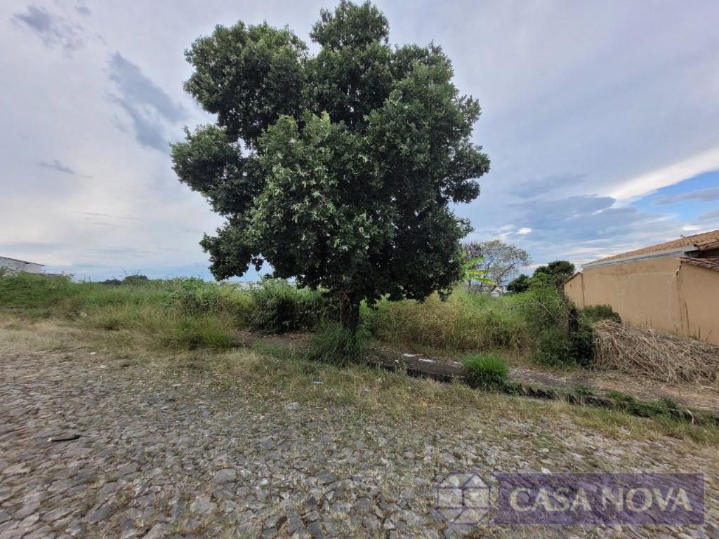 Lote à venda na Dona Rosa com 490 m² — foto 3