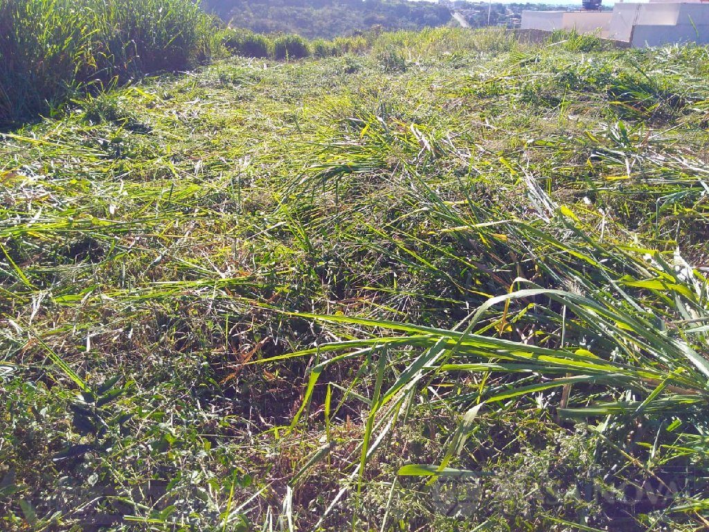 Lote à venda na Nova Fortaleza com 600 m² — foto 4