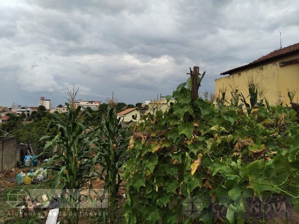 Lote à venda no São Judas com 300 m² — foto 3