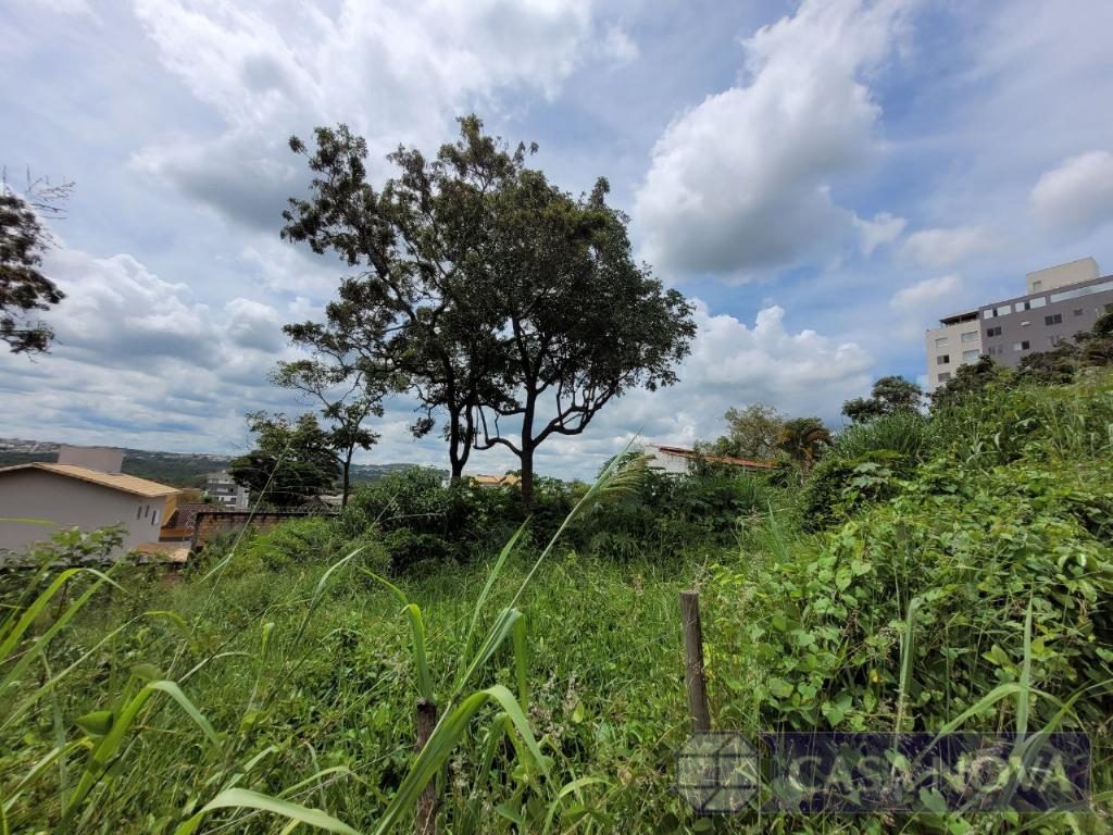 Lote à venda no Belvedere com 230 m² — foto 2