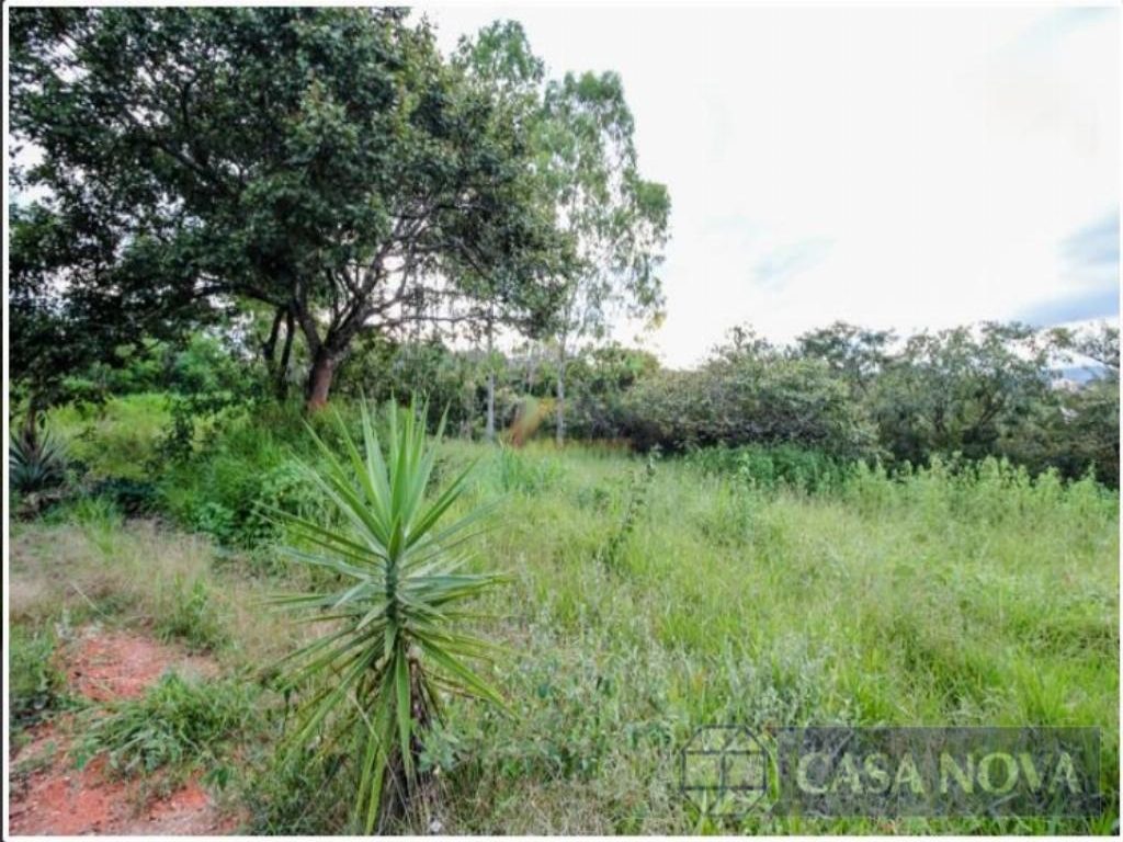 Lote à venda na Ermida com 29102 m² — foto 5