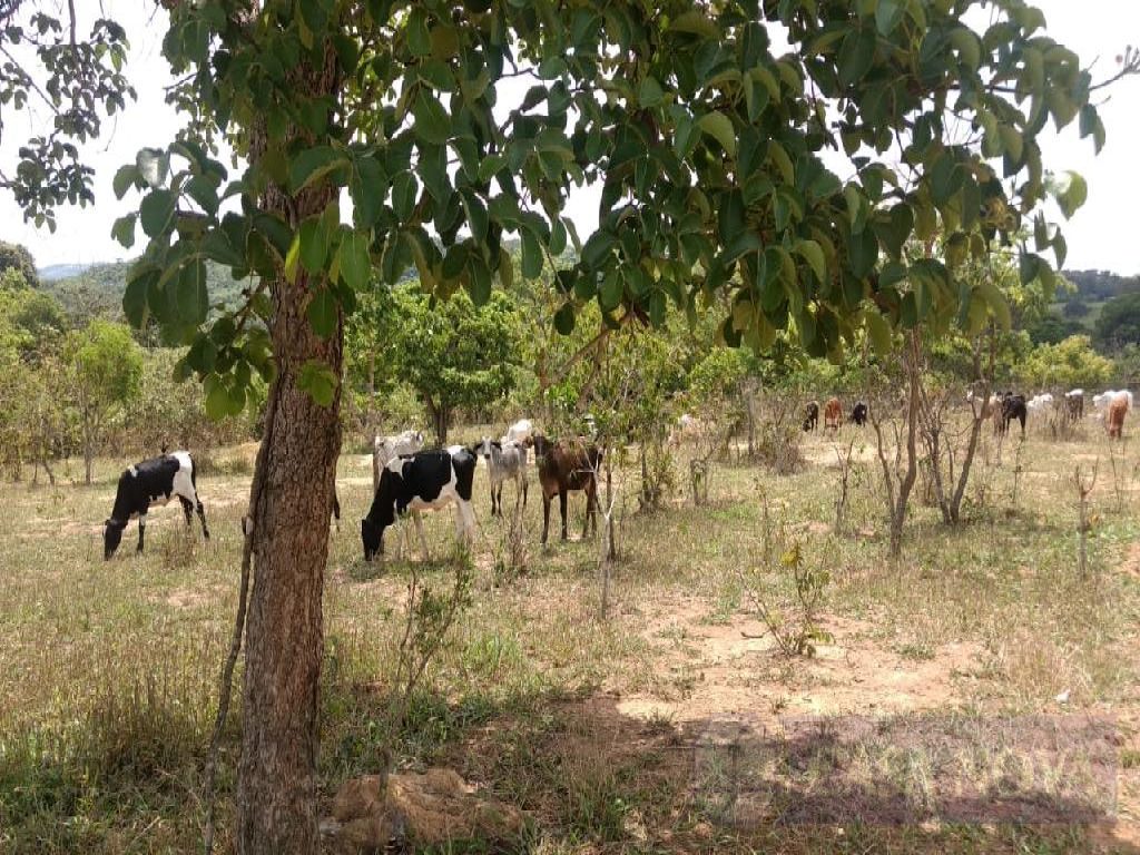 Lote à venda na Zona Rural com 2000 m² — foto 3