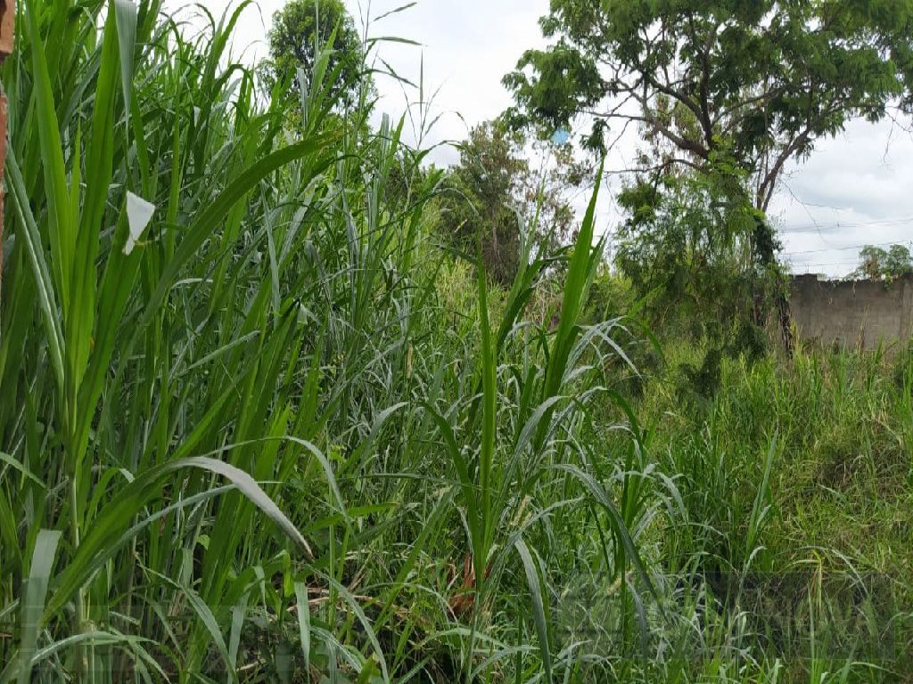 Lote à venda no São Judas Tadeu com 400 m² — foto 3