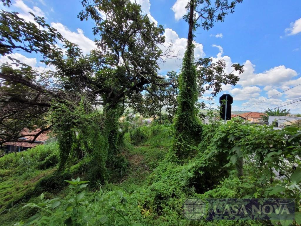 Lote à venda no Belvedere com 242 m² — foto 2