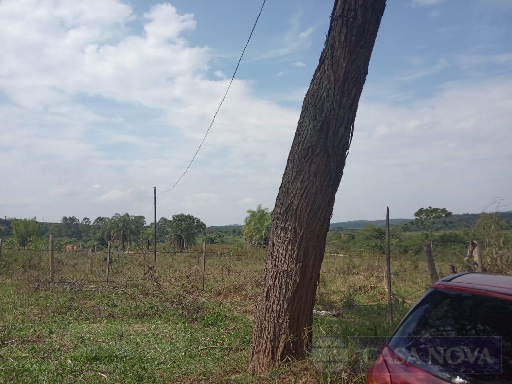 Sítio à venda nos Candides com 5000 m² — foto 3