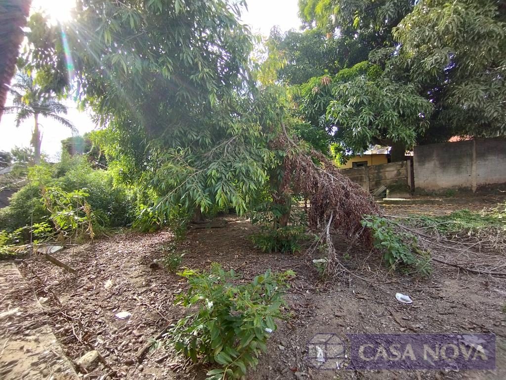 Lote para alugar no Afonso Pena com 400 m² — foto 2