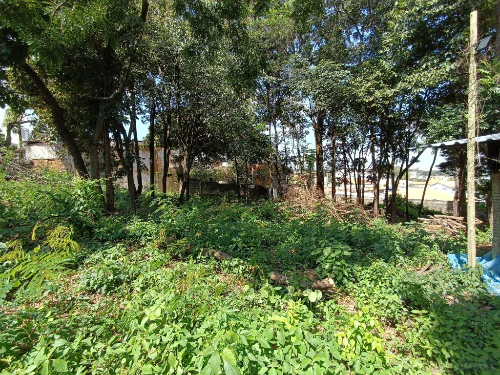 Lote para alugar na Vila Romana com 1000 m² — foto 4