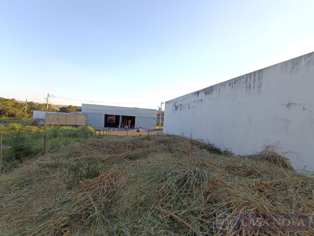 Lote para alugar no L. P. Pereira com 480 m² — foto 4