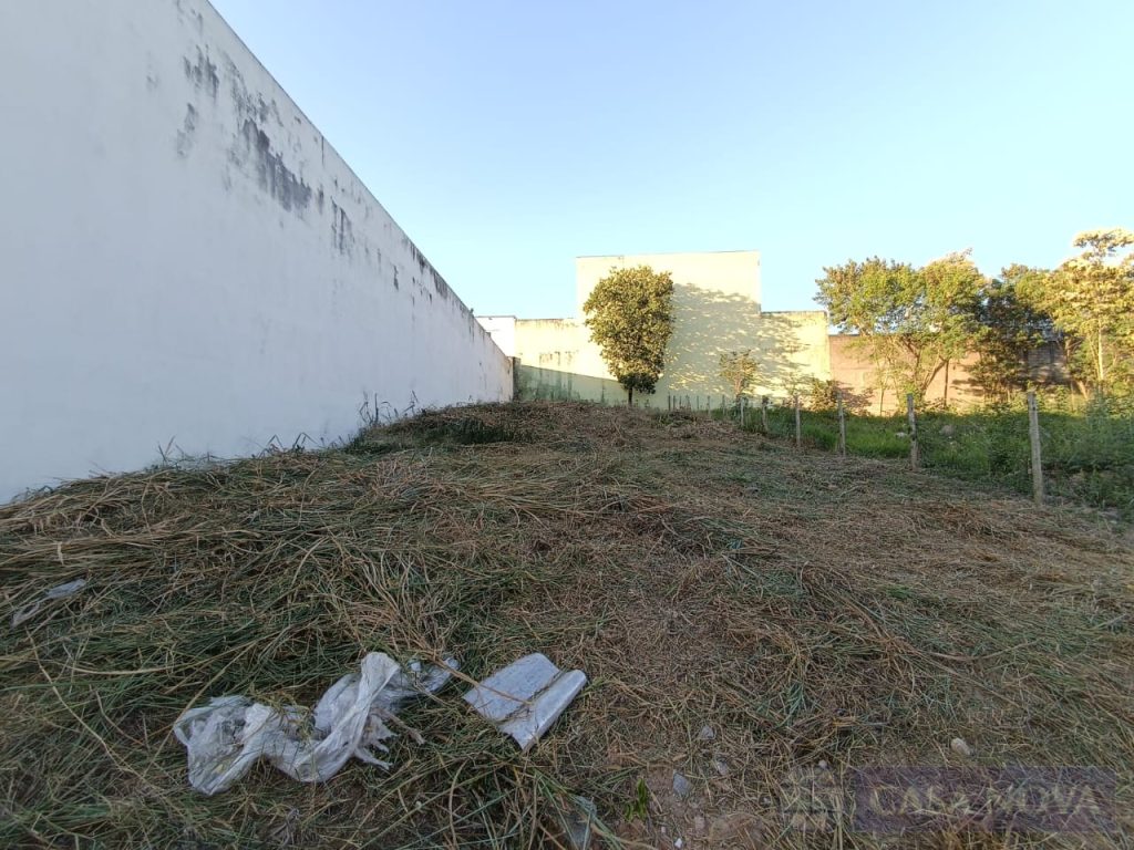 Lote para alugar no L. P. Pereira com 480 m² — foto 5