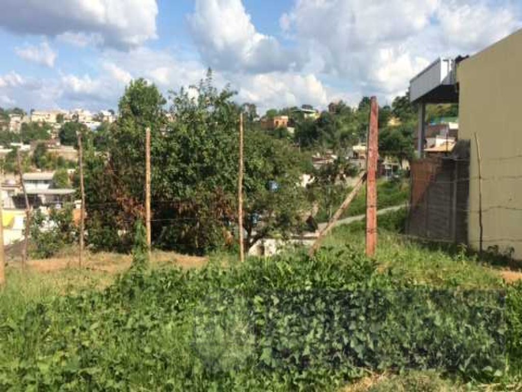 Lote à venda na Sagrada Família com 340 m² — foto 3