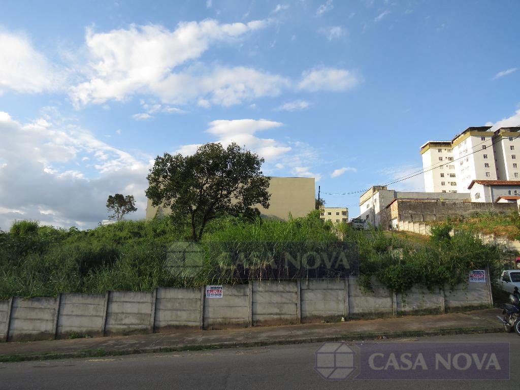Lote para alugar na Ipiranga com 1680 m² — foto 2