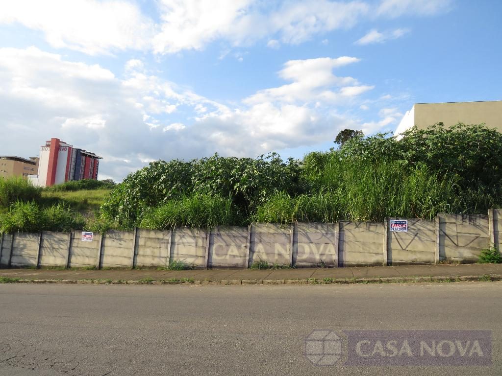 Lote para alugar na Ipiranga com 1680 m² — foto 3