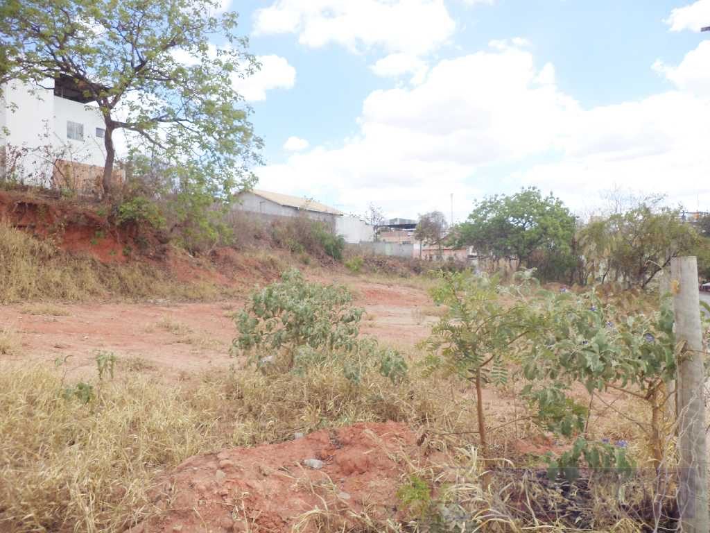 Lote para alugar no Belvedere com 1200 m² — foto 2