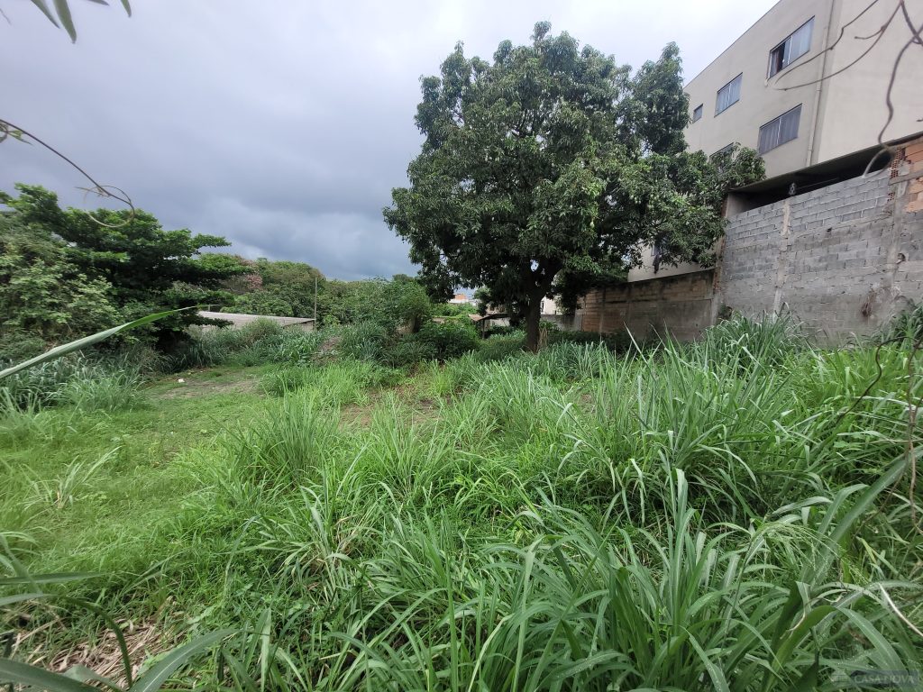 Lote à venda no São João de Deus com 4580 m² — foto 4