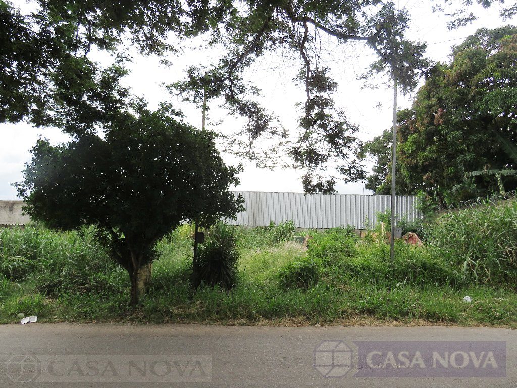 Lote para alugar no Icaraí com 500 m² — foto 4