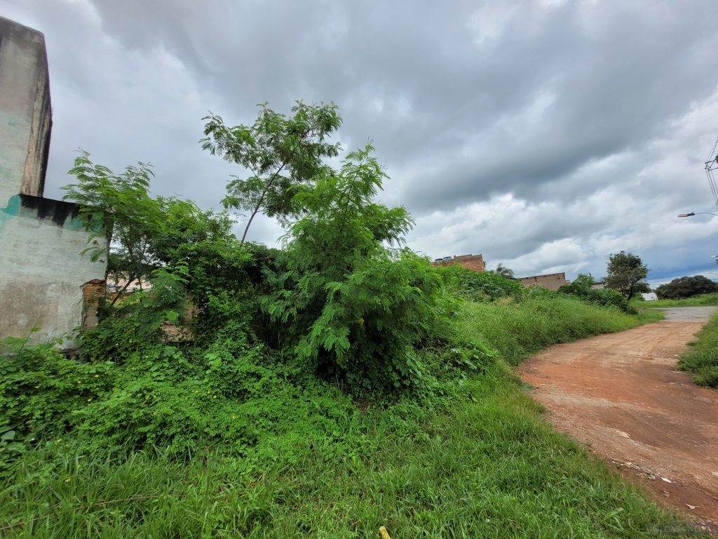 Lote à venda no Padre Eustáquio com 372 m² — foto 5