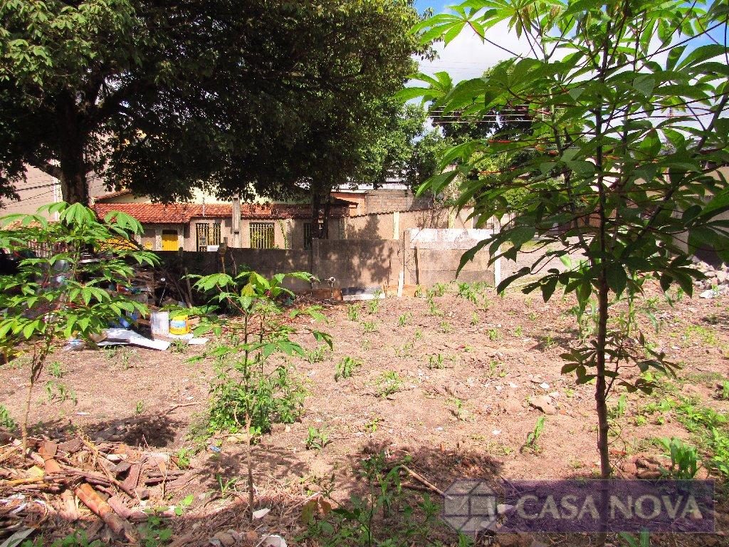 Lote para alugar no L. P. Pereira com 168 m² — foto 4