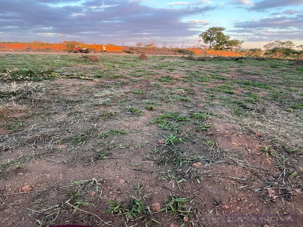 Lote à venda no Aeroporto com 315 m² — foto 5