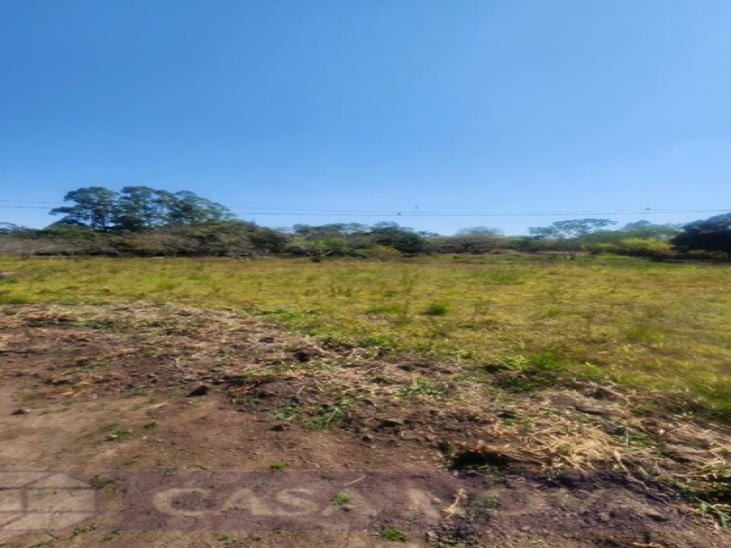 Lote no Icaraí, Divinópolis