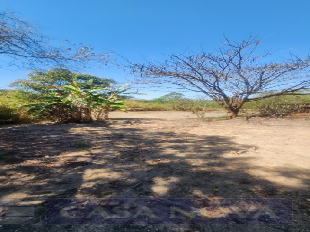 Lote à venda no Icaraí com 485 m² — foto 4