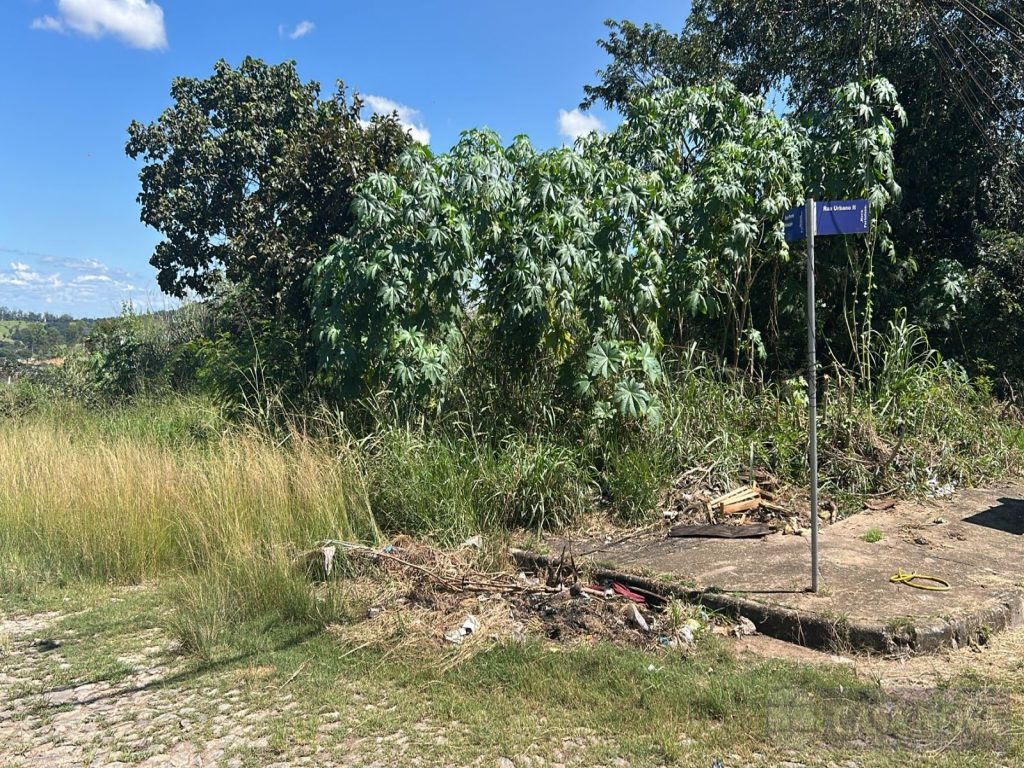 Lote no Nova Fortaleza, Divinópolis